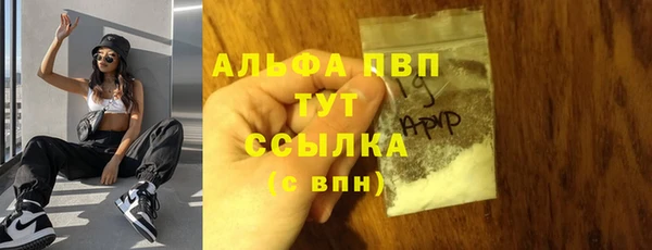 СК Зеленодольск