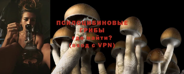 ПСИЛОЦИБИНОВЫЕ ГРИБЫ Инсар