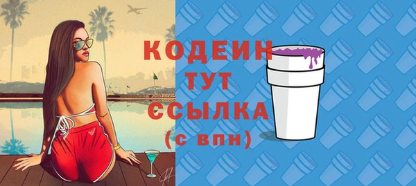 СК Зеленодольск
