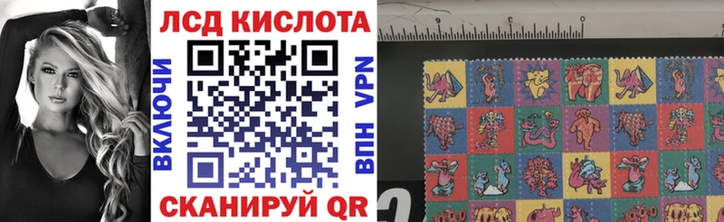 Купить закладки  Весьегонск  Наркотические марки 1,5мг 